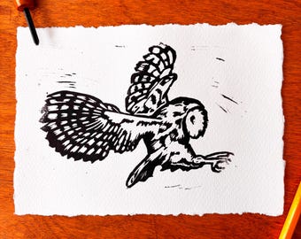 Barn Owl Print | Bird Artwork
