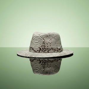 May include: A fedora hat featuring a textured snakeskin pattern in shades of off-white, gray, and dark brown. The hat has a structured crown and a wide brim, with a matching snakeskin band encircling the base of the crown above the brim.