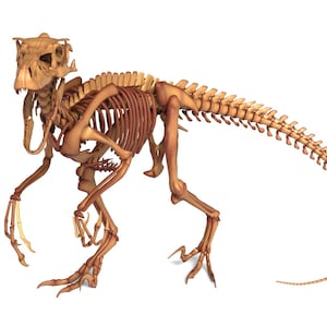 Komplett getakelter Atrociraptor - Pose 1 (Game Ready / High Detail)