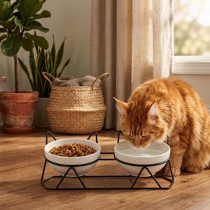 May include: A double pet bowl set featuring two white ceramic bowls held in a black metal wire stand with cat-ear shaped accents. One bowl contains brown dry kibble, and the other bowl is filled with clear water for a pet to drink from.