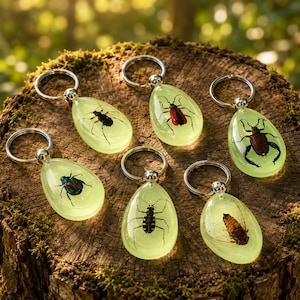 Pode incluir: Seis porta-chaves em forma de gota com vários insetos preservados dentro de uma resina translúcida verde-clara. Cada porta-chaves inclui um anel de metal prateado no topo, exibindo besouros e um espécime de cigarra.