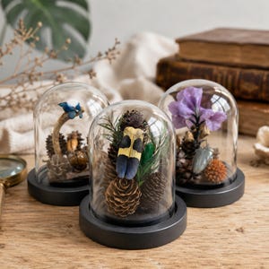 Op de afbeelding: Drie glazen stolpen met zwarte ronde voetstukken, elk met een uniek arrangement. Eén bevat een blauwe vlinder op een tak, een andere een geel-zwarte kever met dennenappels, en de derde een paarse bloem met een metaalachtige kever.