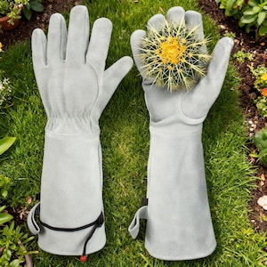 May include: A pair of light gray suede leather gardening gloves with long gauntlet cuffs. The right glove features a black adjustable strap near the wrist and is holding a small, round, green cactus with bright yellow spines and a yellow center.
