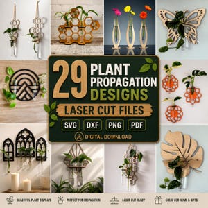 Puede incluir: Una colección digital de 29 diseños de propagación de plantas con archivos de corte láser en formatos SVG, DXF, PNG y PDF. La imagen muestra varios soportes de madera para pared y mesa con tubos de ensayo de vidrio para esquejes.
