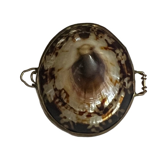 VTG Brown/Cream Abalone Seashell Hinged Locket Ne… - image 2