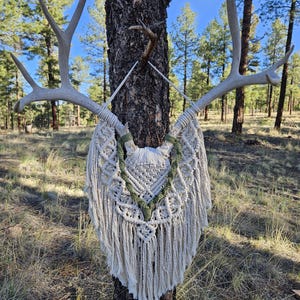 May include: A wall hanging featuring a pair of large, light-colored deer antlers attached to a macrame piece. The macrame is crafted from off-white cord with intricate knotting and a V-shaped accent made of olive green cord, ending in long fringe.