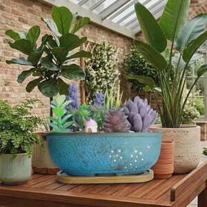 May include: A collection of potted plants, including a large fiddle-leaf fig, a bird of paradise, and a variety of succulents and other greenery. The plants are arranged on a wooden table in a sunlit space, with a brick wall in the background.