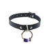 Pawstar PRIDE RING COLLAR - Top Grain Real Leather - Rainbow Gay Pan Trans Bear Bi Ace Queer 5038