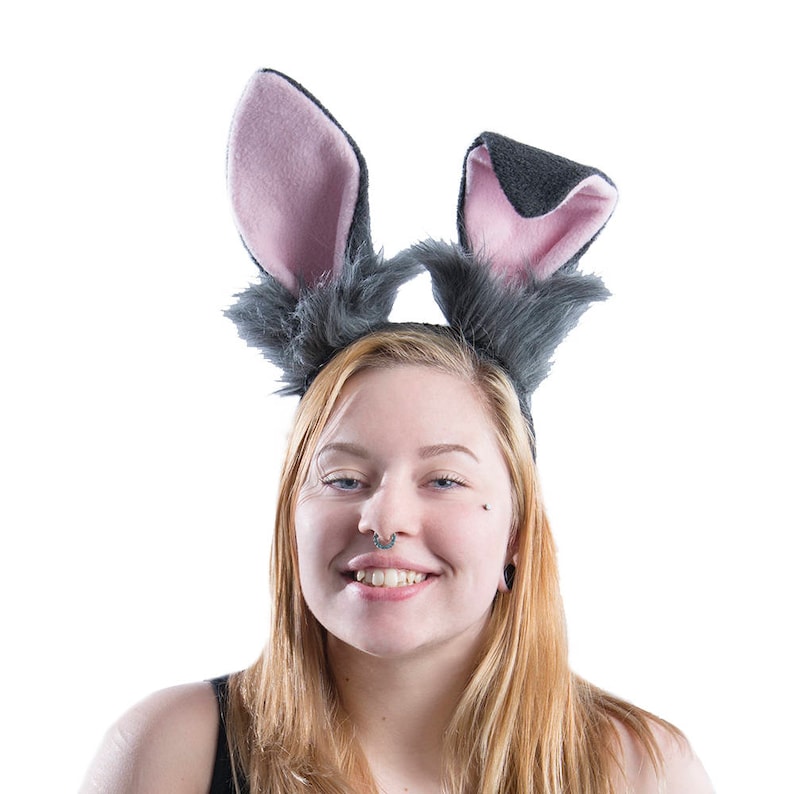 Уши зайца. Заяц-русак. Кроличьи уши лежачие. Заяц русак уши. Заяц в ушах.