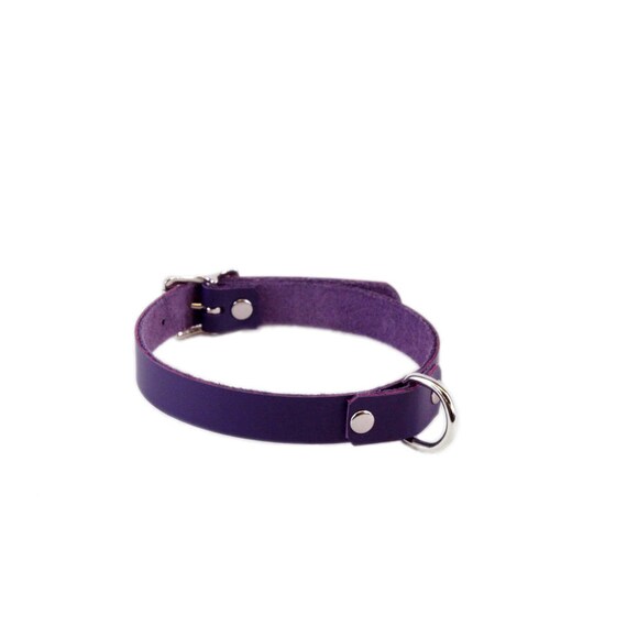 pawstar collar