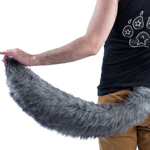 Dog Tail, Canine Tail, Tail, Furry, Furry Tail, Cat Tail, Tails, Furry