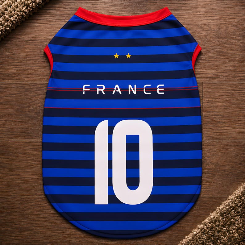 Puede incluir: Camiseta para mascotas a rayas azules y marinas con la palabra "FRANCE" en blanco y el n&uacute;mero "10". La camiseta tiene cuello y ribetes rojos. Dos estrellas doradas est&aacute;n encima de la palabra "FRANCE".