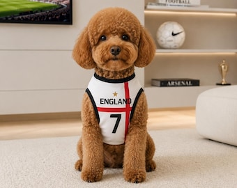 England Fussball WM 2026 Hunde Trikot: Hunde-Shirt, Fussball Fan Outfit