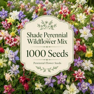 May include: A cream-coloured label with dark green text reading Shade Perennial Wildflower Mix, 1000 Seeds, and Perennial Flower Seeds, centred over a vibrant background of multi-coloured columbine flowers in shades of pink, purple, yellow, and white.