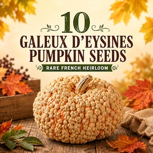 Puede incluir: Una calabaza Galeux d'Eysines con una corteza beige, verrugosa y texturizada, y un tallo corto. El texto dice 10 GALEUX D'EYSINES PUMPKIN SEEDS RARE FRENCH HEIRLOOM. La calabaza se presenta sobre un fondo de hojas de otoño y madera.