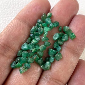 Puede incluir: Una colección de pequeñas piedras preciosas de esmeralda en bruto con un color verde vibrante y formas angulares irregulares. Estas piedras naturales sin pulir presentan diversos tonos de verde y texturas translúcidas a opacas.