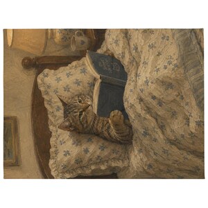Throw Blanket Cat Reading in Bed