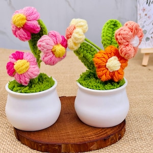 Gehäkeltes Gänseblümchen, gehäkelter Blumentopf, Einweihungsgeschenk, Schreibtischdekoration, Raumdekoration, handgemachte Blume, Geschenk für sie, Tischdekoration.