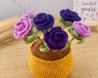 Rose all'uncinetto, vaso di fiori all'uncinetto, regalo per l'inaugurazione della casa, decorazione per la scrivania, decorazione per la stanza, fatto a mano, regalo per lei, regalo per compleanno e anniversario
