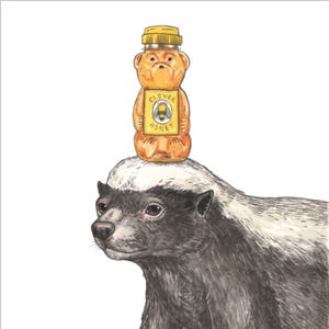 May include: A honey badger with a yellow bear-shaped honey bottle on its head. The bottle has a yellow lid and a label that says "Clover Honey".