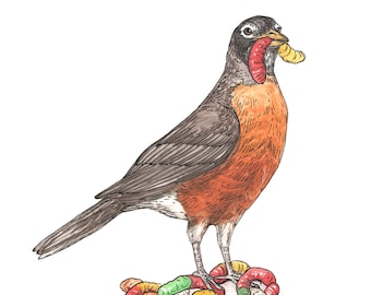 Robin + Gummy Worms - Snack Attack - Archival Print