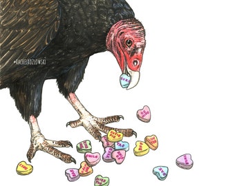 Turkey Vulture + Candy Hearts - Snack Attack - Archival Print