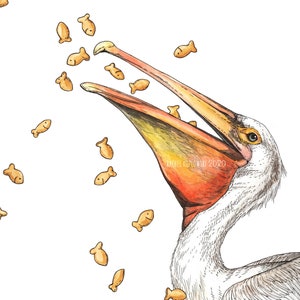 Pelican + Goldfish - Snack Attack - Archival Print