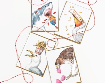 Notecard 4 Pack - Snack Attack - Pelican, Shark, Hawk, and Gull