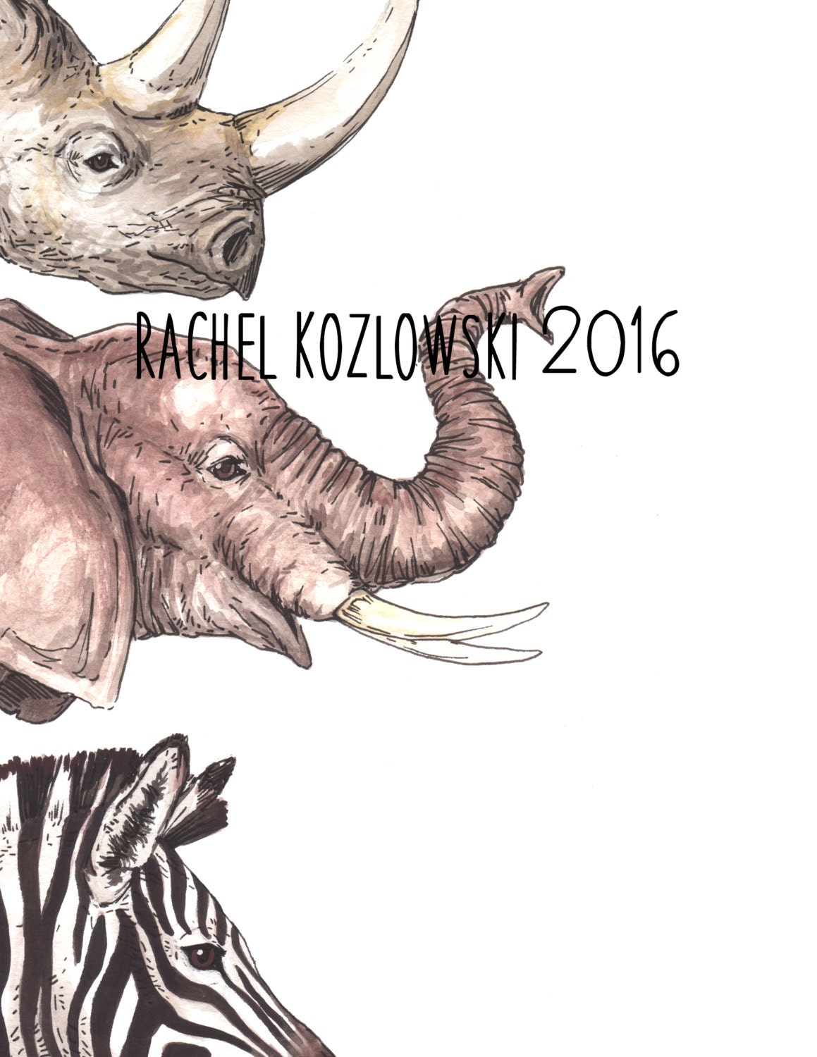 African Animals (rhino - African Elephant - Zebra African Animals (rhino - African Elephant - Zebra
