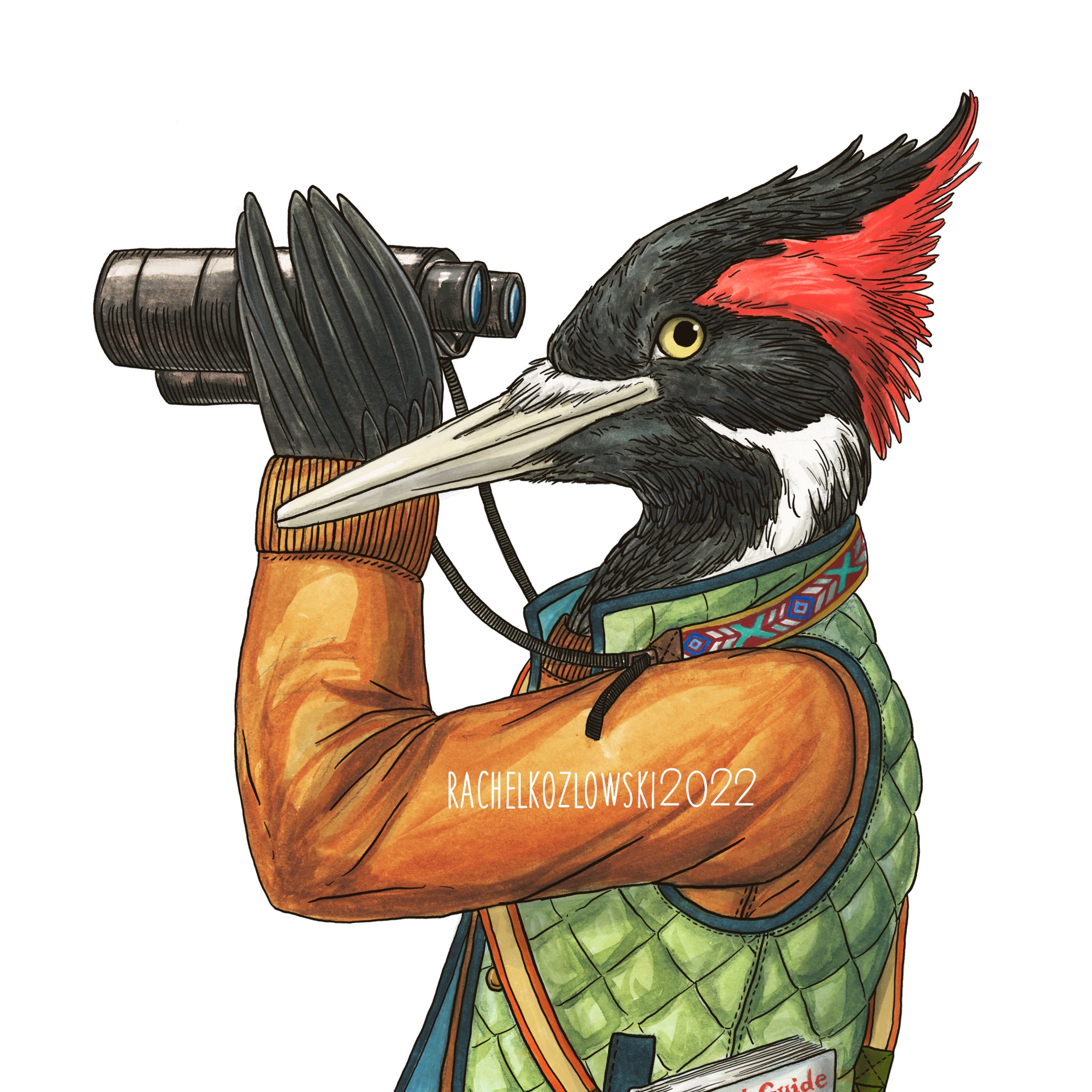 Ivory Billed Woodpecker - Bird Watcher - Archival Print - Etsy