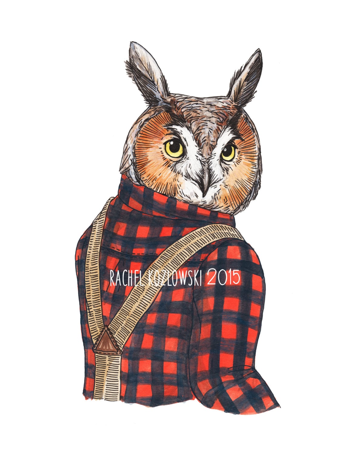 Mr. Owl - Long Eared Owl - Archival Print