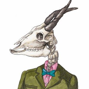 Mr. Carrion (Skull) Illustration - Archival Print