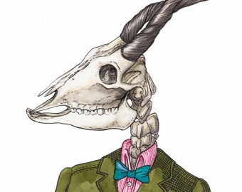 Mr. Carrion (Skull) Illustration - Archival Print