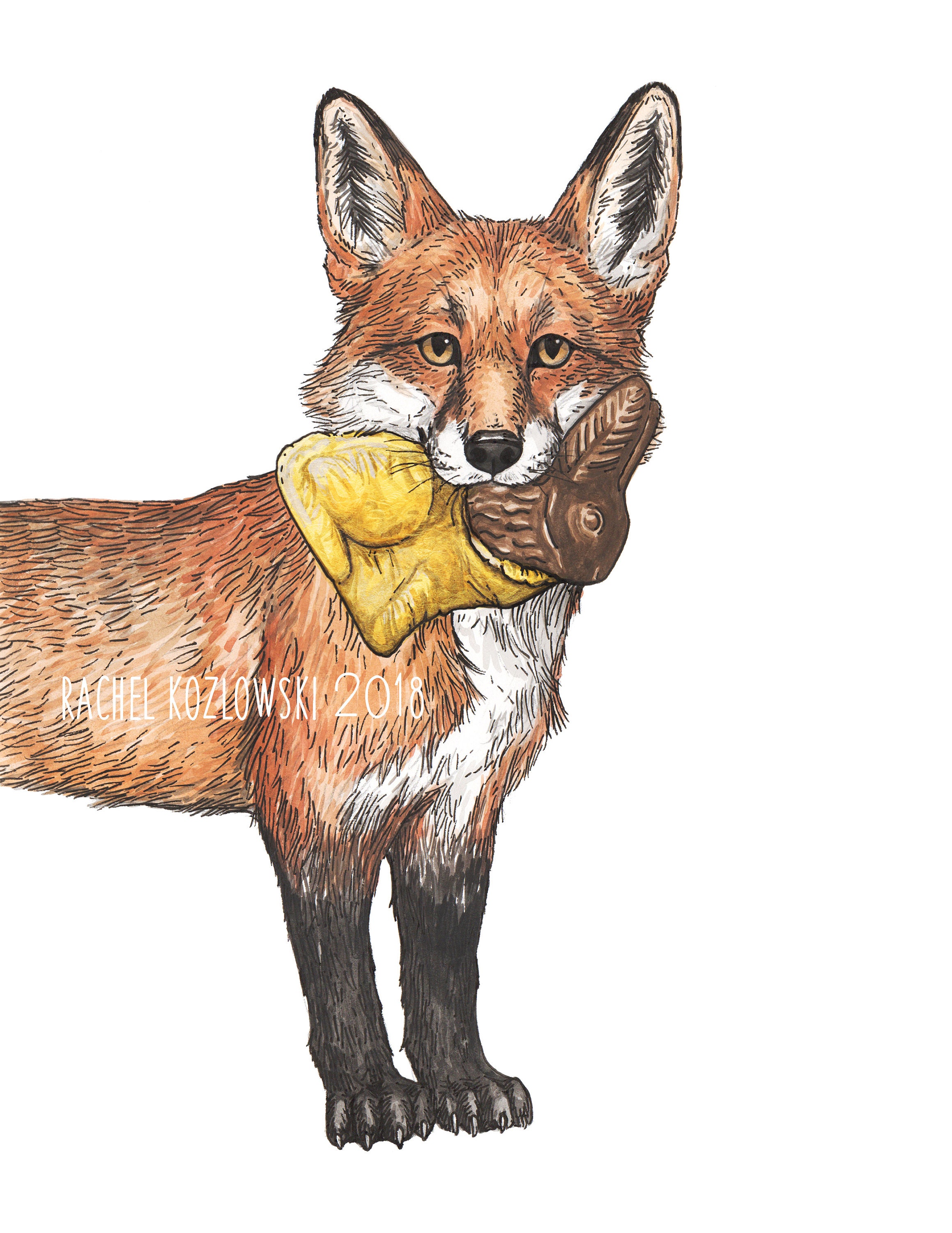 Red Fox Chocolate Bunny Snack Attack Archival Print