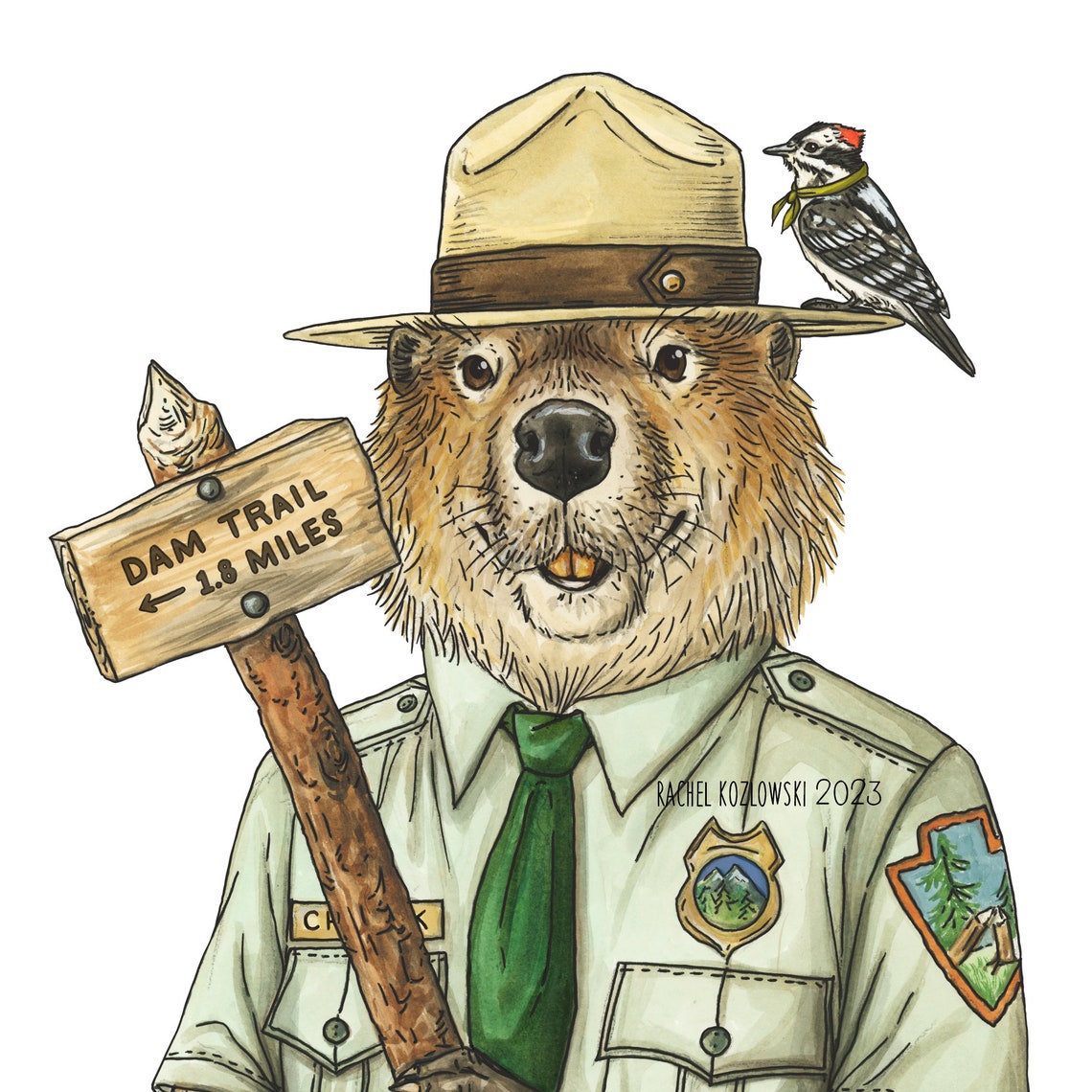 Ranger Chuck - Beaver - Explorer - Archival Print - Etsy