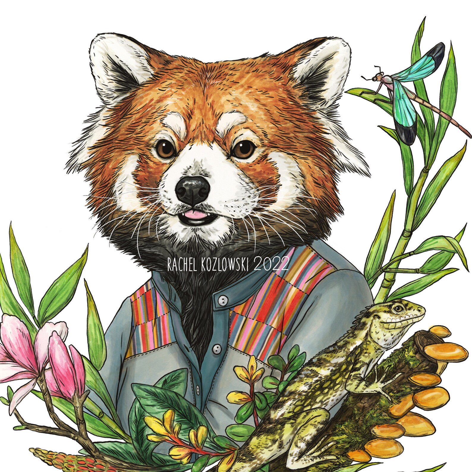 Red Panda Archival Print - Etsy