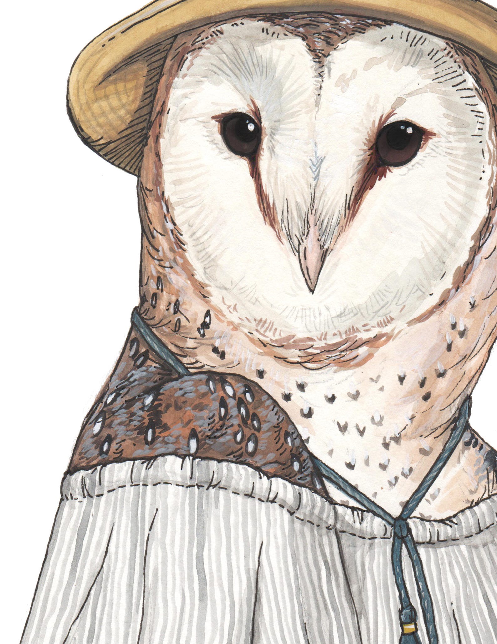 Barn Owl Archival Print - Etsy