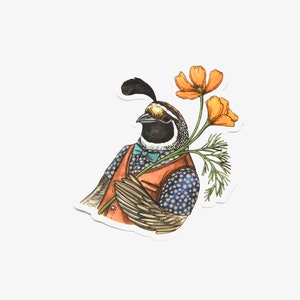 California Quail - Poppy - Vinyl Decal - Sticker