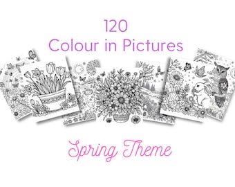 120 Colour In Pictures Printable - Spring Themed - Flowers, Butterflies, Rabbits, Lambs, Easter, April, Garden - Download PDF