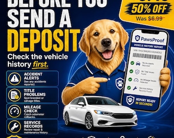 CARFAX style Report 3 Min Delivery Style VIN Check, Fast Vehicle History Report, Accident Title Mileage Lookup Digital PDF