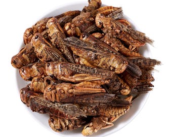 Dried Grasshoppers High Protein Feed, Nutrient-Rich Natural Treat for Birds, Chickens, Ducks, Reptiles, Turtles