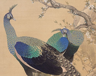 Peacock printable art, bird wall decor, Chinese painting, animal print