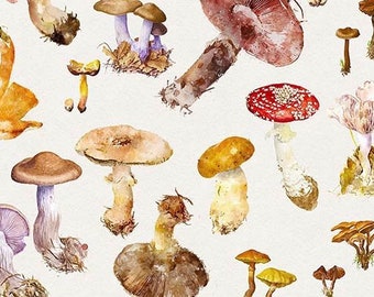 Mushroom printable art, mushroom poster, botanical chart, kitchen wall decor,