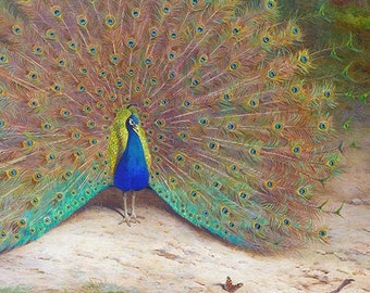 Peacock printable art, bird poster, bedroom wall decor