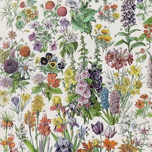 Blumen Poster zum selbst ausdrucken, Küchendeko, Blumenkarte, Vintage Blumen Poster