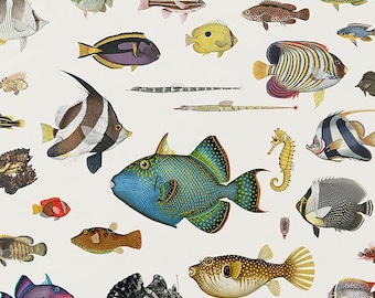 Fischkarten, Badezimmer Wanddekor, nautische Kunst, Küsten Poster zum Ausdrucken