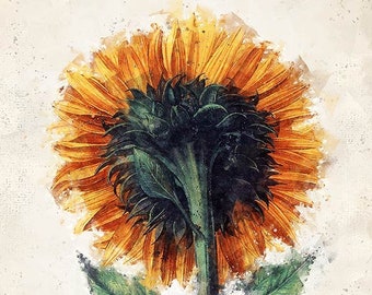 Sunflower decor, sun flower printable art, botanical painting, digital print