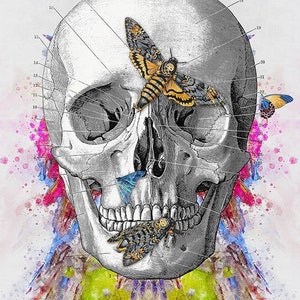 Schädel Druck, Anatomie Wandkunst, Medizin Geschenk