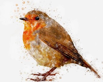 Robin printable art, bird decor, instant download nursery wall art