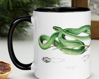 Snake clipart, green snake instant download, reptile decor